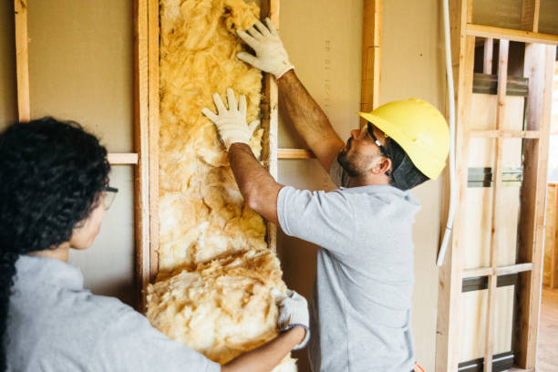 Best Radiant Barrier Insulation  in Greeley, CO